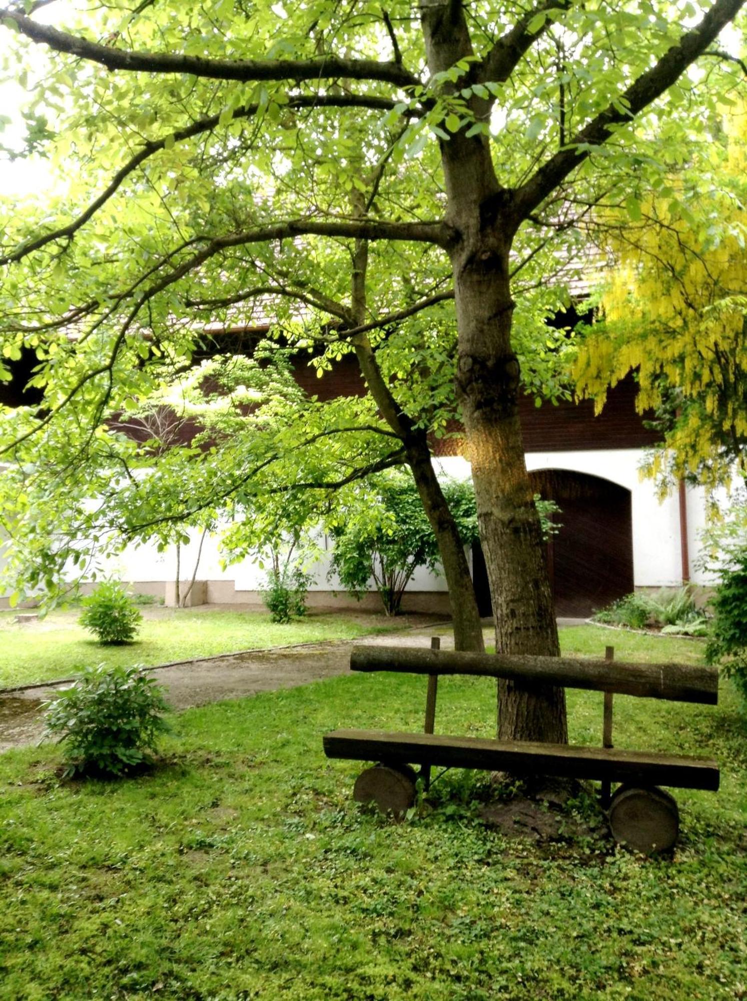 Hotel Gruenes Tuerl Bad Schallerbach Εξωτερικό φωτογραφία